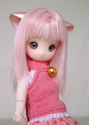pink cat1