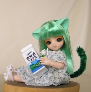 緑猫3