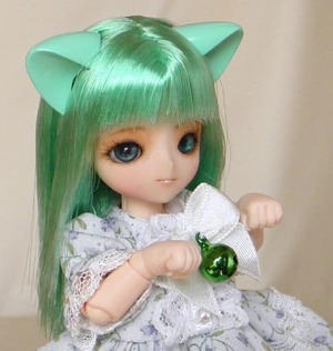緑猫5