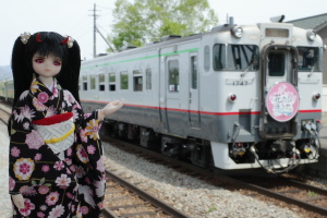 桜を追いかけて